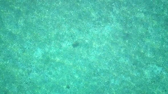 Aerial flight over crystal clear water and turtle in Malaysia, long distance birds eye perspective d alt