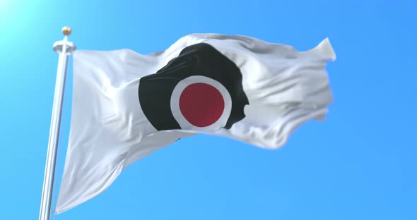Kagoshima Flag, Japan alt