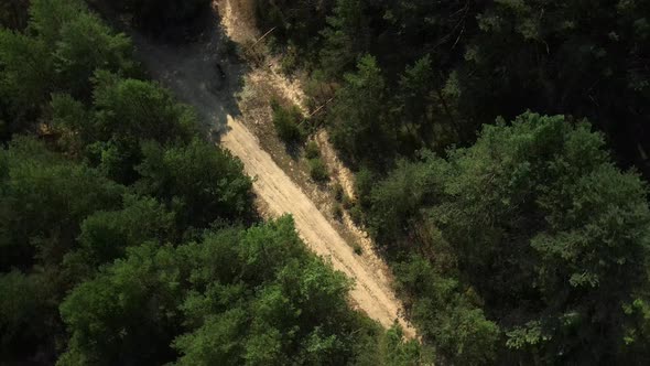 Country Road In A Pine Forest. Rotating Flight. Bialowieza Forest. Aerial Photography.