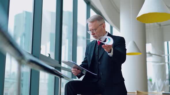 Portrait of mature businessman near the window.  alt