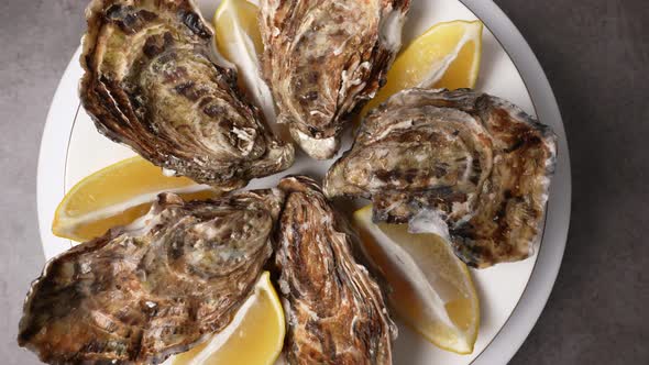 Fresh Oysters 25 alt