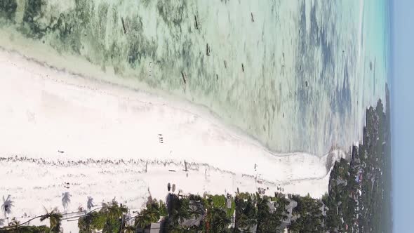 Zanzibar Tanzania  Vertical Video of the Ocean Near the Coast Slow Motion alt