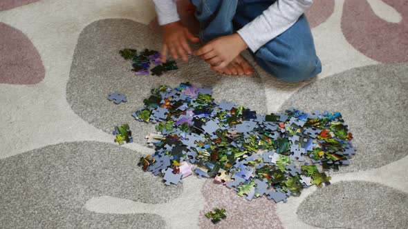 A Preschool Girl Sits on a Carpet and Collects Colorful Puzzles alt