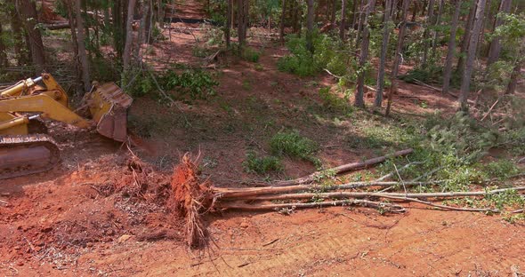 Tractor Skid Steers Were Used To Clear Land From Trees From A Land For ...