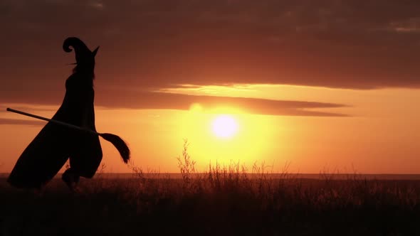Sorceress Holding Besom Walking Across the Field alt