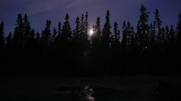 Night time-lapse of moon behind the trees in Alaska. alt