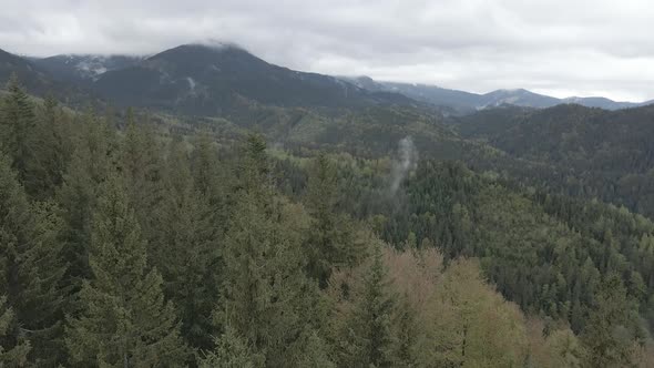 Ukraine, Carpathian Mountains: Beautiful Mountain Forest Landscape. Aerial, Flat, Gray alt