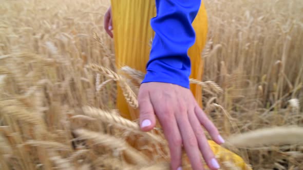 Beautiful Ukrainian Woman Wearing Dress in Ukrainian National Flag Colours Blue and Yellow at Wheat alt