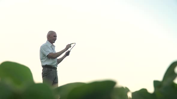 Senior Agronomist or Farmer with Tablet Examines Soybean Growth. Concept of Digital Technologies in alt