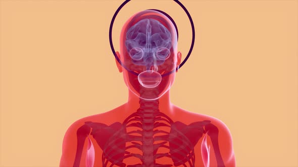 4K anatomy concept of facial recognition alt