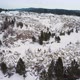 Abandoned stone quarry. Mining site is beginning to overgrow with conifer forest - VideoHive Item for Sale