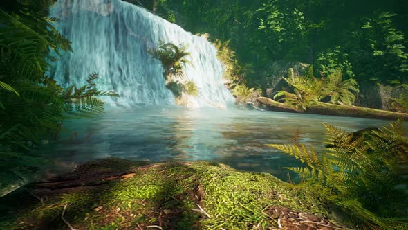 Waterfall in a forest 4K