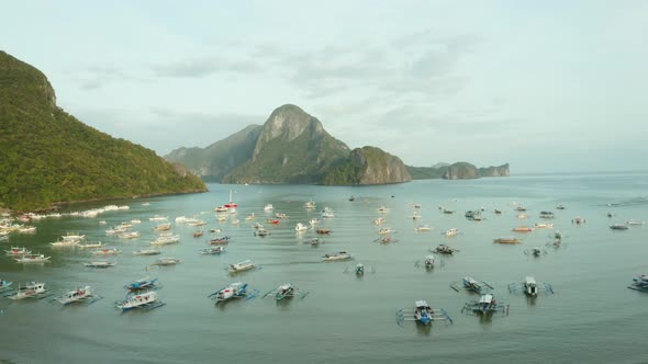 WS AERIAL Lots of boats in harbor and sea, El Nido, Palawan, Philippines alt