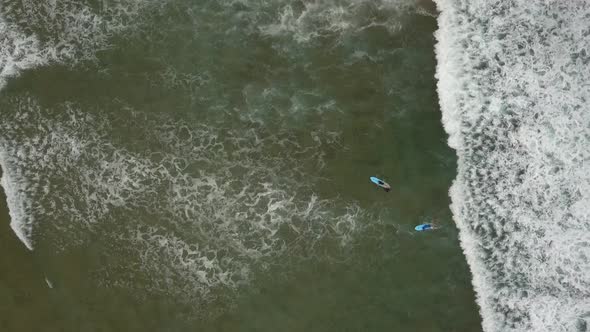 Surf and Aerial Ocean Waves