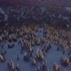 Aerial view of the trees in the snow on the mountainside - VideoHive Item for Sale