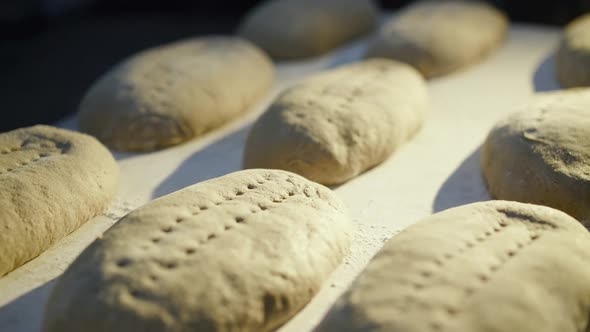 Close View of Freshly Baked Organic Breads on Leaven Lying on Table Under Light alt