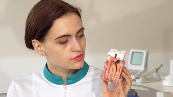 Female Dentist Looking Disappointed, Holding Plastic Tooth with Caries alt