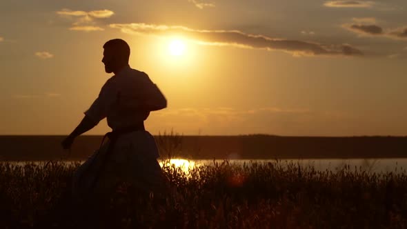 Silhouette of Man Training Karate at Sunset alt