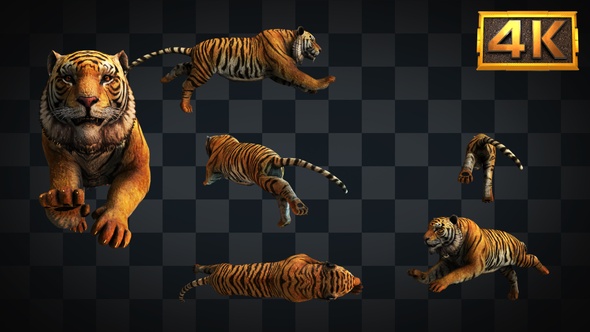 [6 In 1]4K Tiger Run
