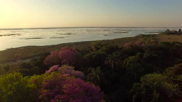Scenic aerial view of lake in Ibera Wetlands, Corrientes Province, Argentina alt