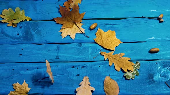 Yellow Autumn Foliage Falls On A Vintage Blue Wooden Table. Autumn Background Copy Space