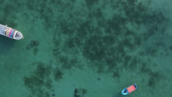 Zanzibar Tanzania  Vertical Video of the Ocean Near the Coast Slow Motion alt