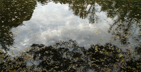 Clouds Reflected in Pond