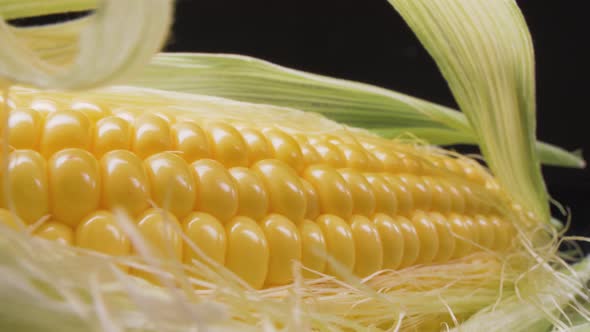 Super macro of corn grains.