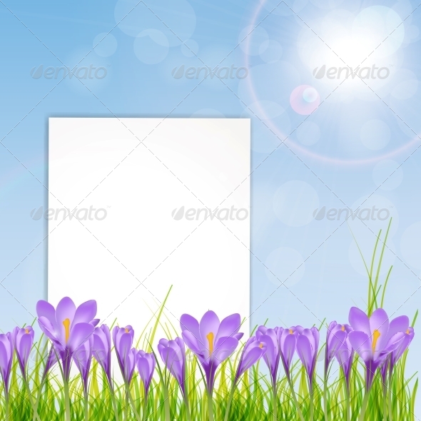 Vector Illustration of Crocus Flower - Birthdays Seasons/Holidays