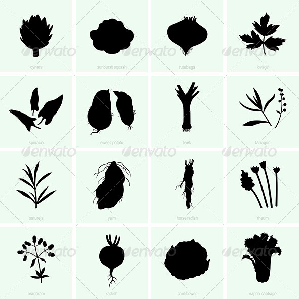Vegetables - Flowers & Plants Nature