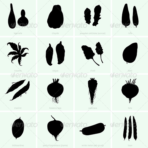 Vegetables - Flowers & Plants Nature