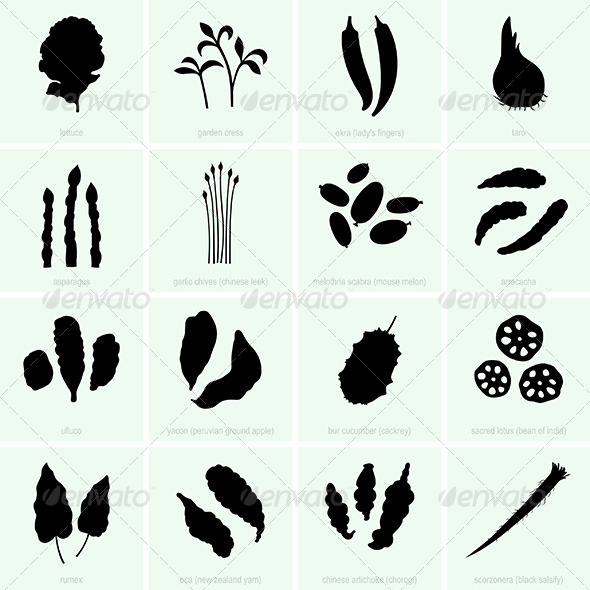 Vegetables - Flowers & Plants Nature