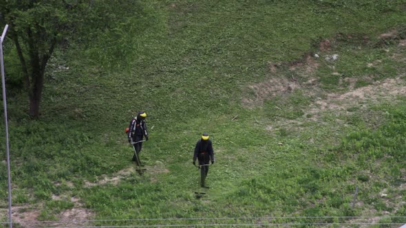 Two men mow grass with trimmers. 60 fps HD alt