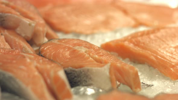 Salmon Steaks and Salmon Fillet - Pack of 3