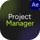 Project Manager Widget - VideoHive Item for Sale