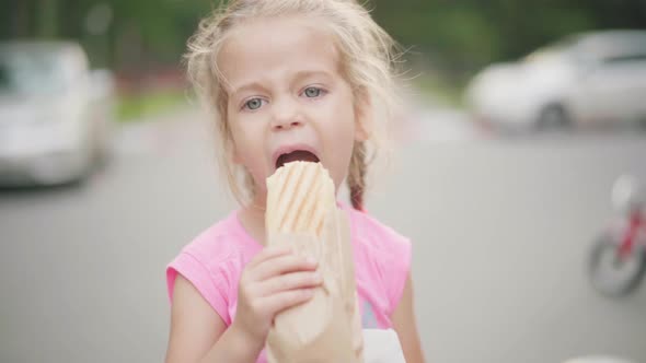 Little Girl Eat Hot Dog Summer Park Food And Drink Concept alt
