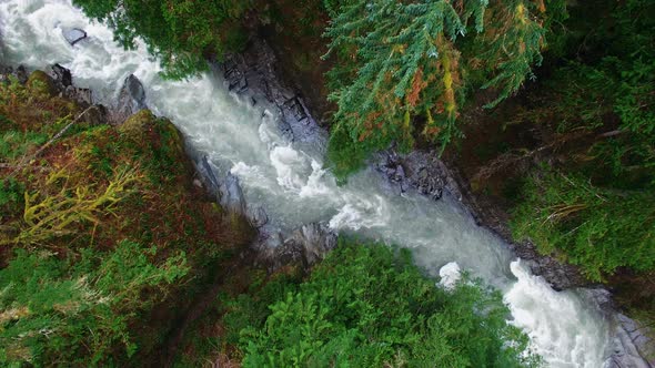 Aerial Shot Mountain Forests