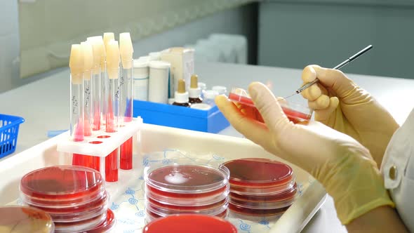 Healthcare and Human Analysis alt