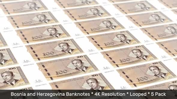 Bosnia Banknotes / Bosnian Money / KM / BAM 5 Pack - 4K alt