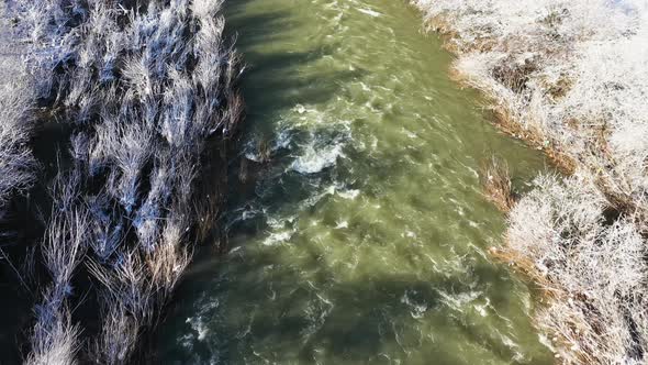 Mountain Raging River Flows Between Snowy Trees Aerial Top View alt