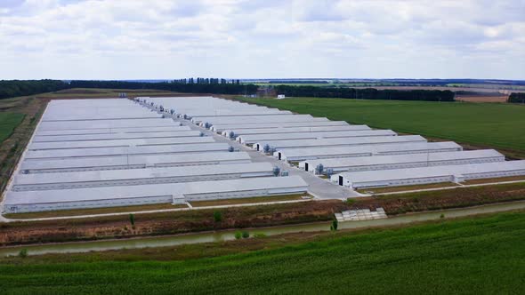 Aerial view of industrial chicken house. Modern farm poultry buildings. Agriculture alt