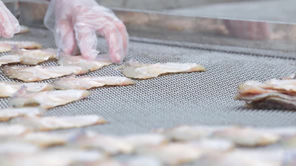 Close Up Footage of Fisherman Making Sun Dried Nile Tilpia Fish, Natural Food Preservation alt