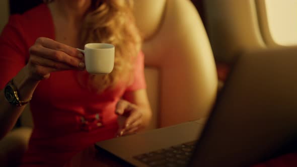 Closeup Stylish Businesswoman Working Remotely on Airplane alt