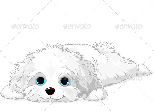 Download White Puppy by Dazdraperma | GraphicRiver