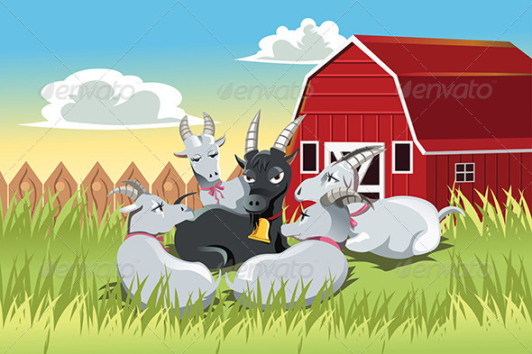 Goats - Animals Characters