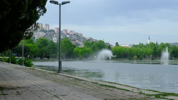 Businessperson Walking Park alt