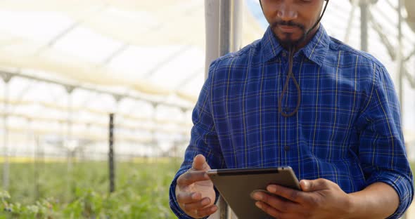 Man using digital tablet in blueberry farm 4k alt