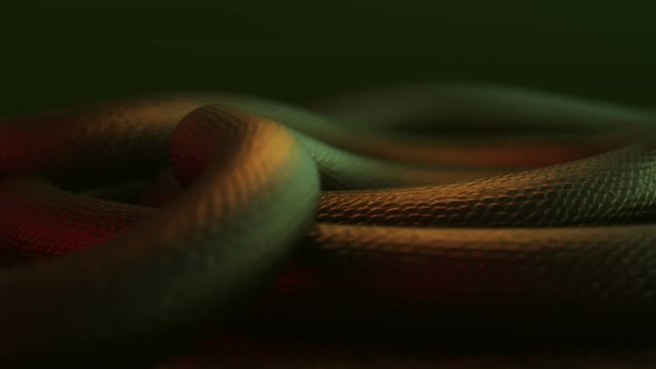 Dragon Snake Body Moving alt