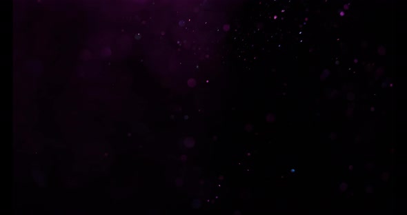 Beautiful Sparkle Bokeh on a Black Background in Pink Light alt