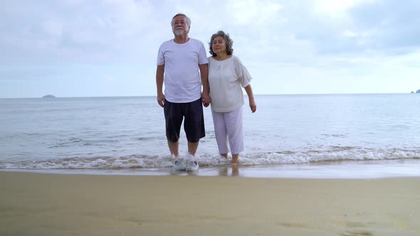 elderly couple is taking a breath of fresh air by the sea on their vacation